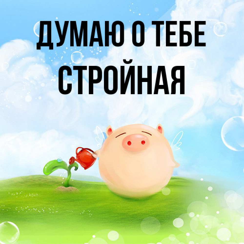 Открытка на каждый день с именем, Стpойная Думаю о тебе позитивная свинюшка Прикольная открытка с пожеланием онлайн скачать бесплатно 