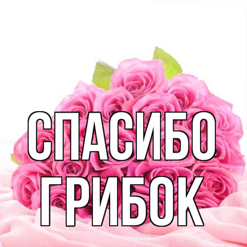 Картинка Спасибо, Грибок