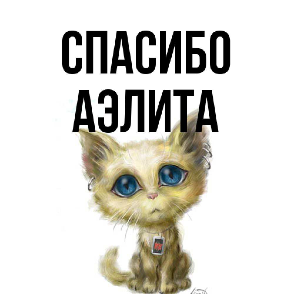 Открытка на каждый день с именем, Аэлита Спасибо рисованный кот благодарит вас Прикольная открытка с пожеланием онлайн скачать бесплатно 