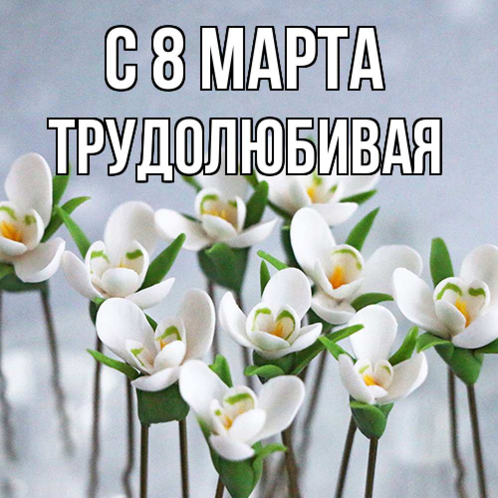 Открытка на каждый день с именем, Трудолюбивая C 8 МАРТА весенние цветы Прикольная открытка с пожеланием онлайн скачать бесплатно 
