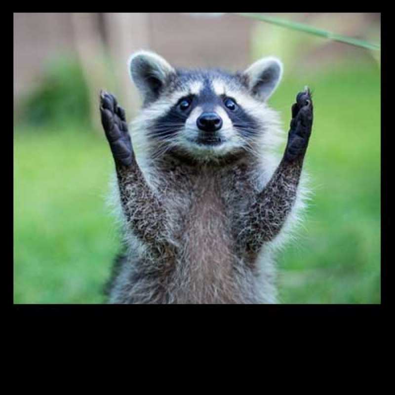 Картинка Доброе утро, Руфина