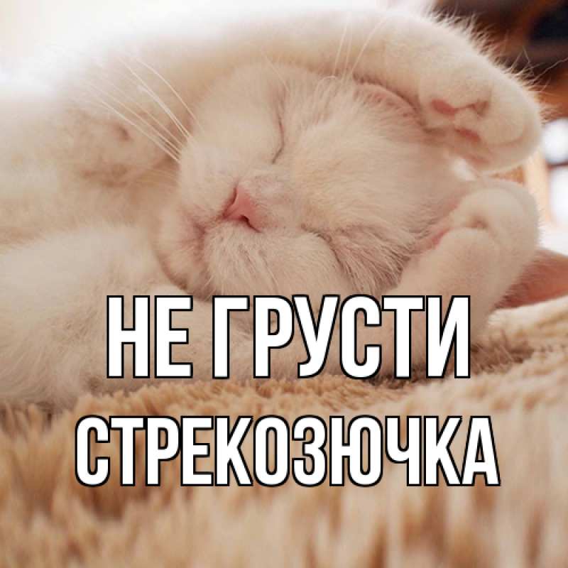 Открытка с именем, Стрекозючка, Не грусти