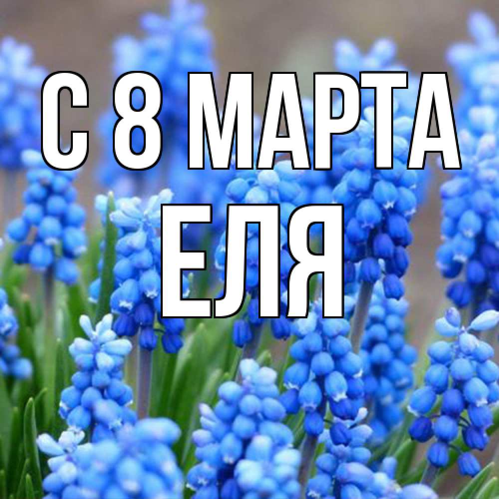 Открытка на каждый день с именем, Еля C 8 МАРТА Поздравительная открытка для женщин с цветами на праздничную дату Прикольная открытка с пожеланием онлайн скачать бесплатно 