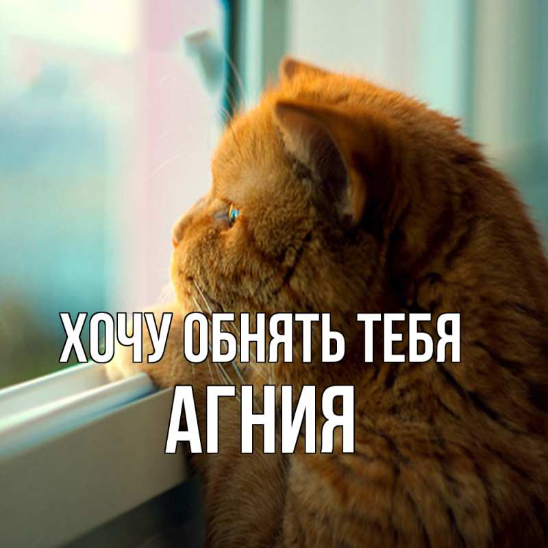 Картинка Хочу обнять тебя, Агния