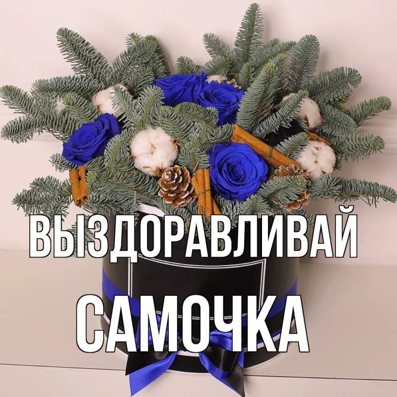 Картинка Выздоравливай, Самочка