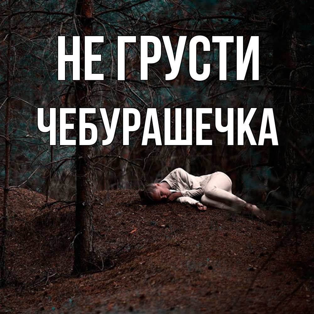 Открытка на каждый день с именем, Чебурашечка Не грусти лес Прикольная открытка с пожеланием онлайн скачать бесплатно 