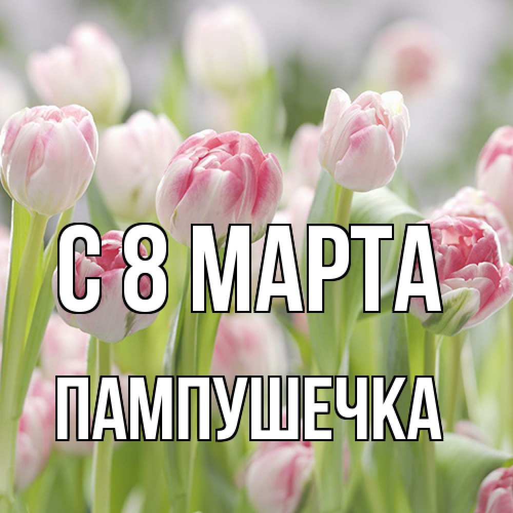 Открытка на каждый день с именем, пампушечка C 8 МАРТА цветы Прикольная открытка с пожеланием онлайн скачать бесплатно 