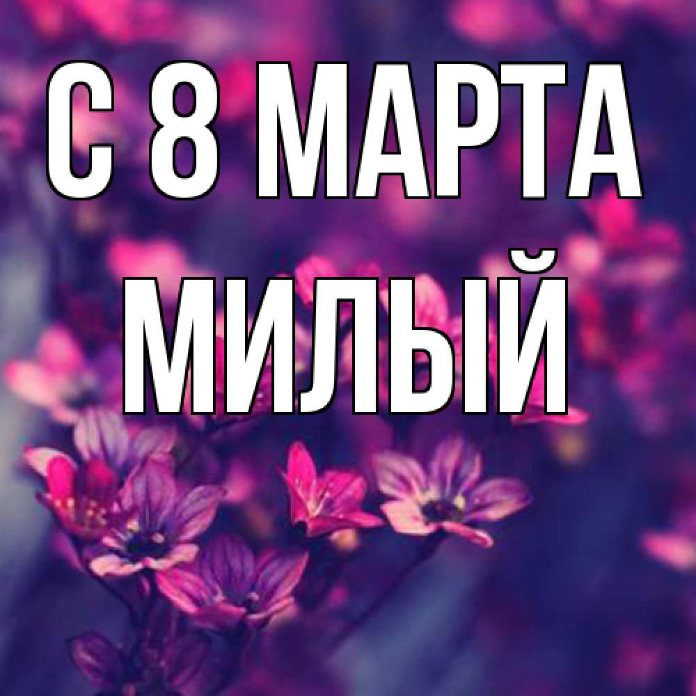 Открытка на каждый день с именем, Милый C 8 МАРТА небольшие цветы 1 Прикольная открытка с пожеланием онлайн скачать бесплатно 