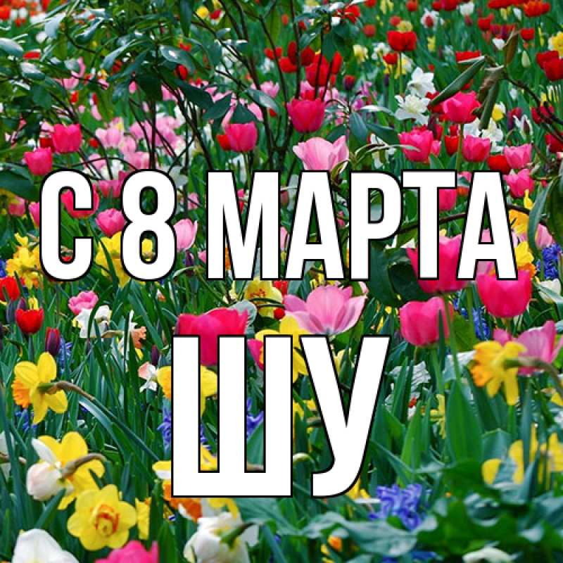 Картинка C 8 МАРТА, Шу