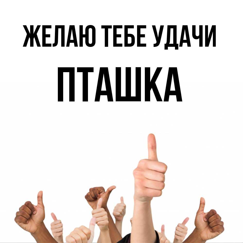 Открытка на каждый день с именем, пташка Желаю тебе удачи молодцом Прикольная открытка с пожеланием онлайн скачать бесплатно 