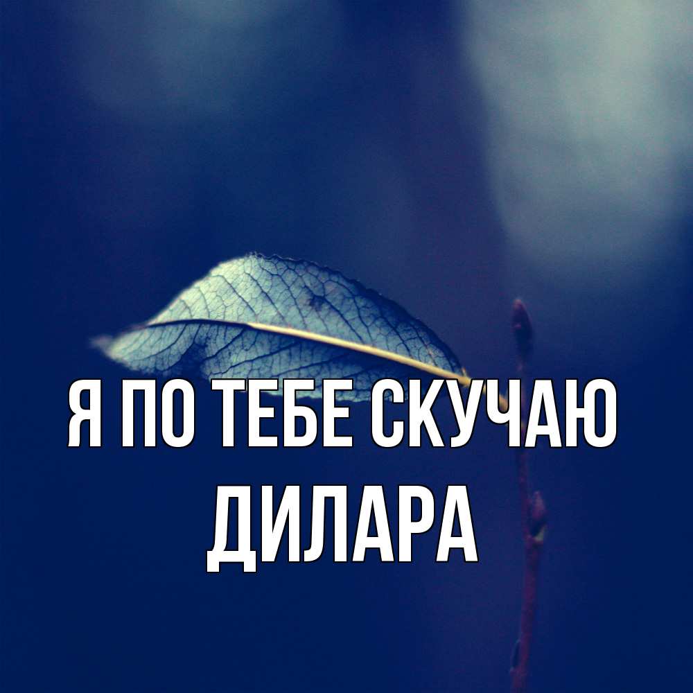 Открытка на каждый день с именем, Дилара Я по тебе скучаю одна ветка 1 Прикольная открытка с пожеланием онлайн скачать бесплатно 
