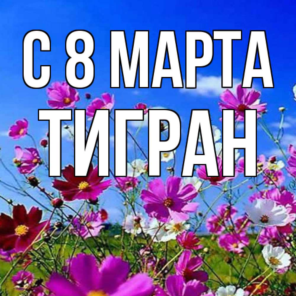 Открытка на каждый день с именем, Тигран C 8 МАРТА цветы Прикольная открытка с пожеланием онлайн скачать бесплатно 