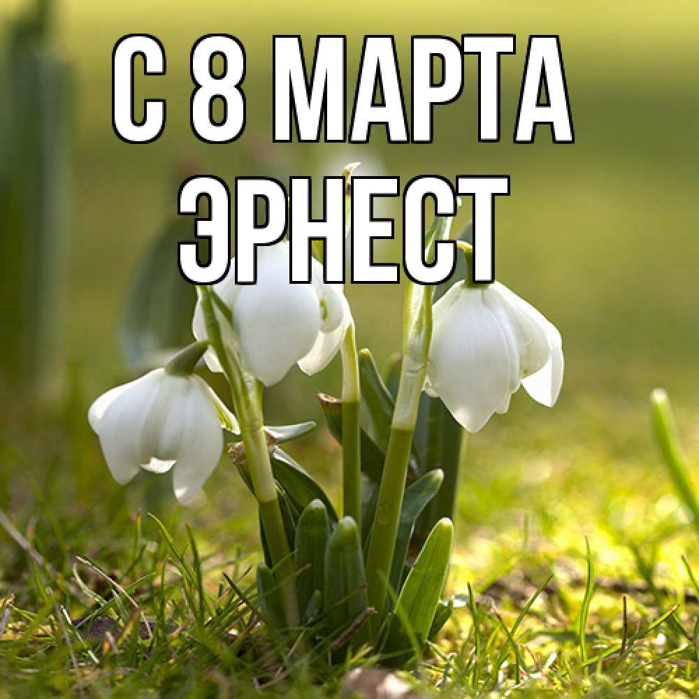 Открытка на каждый день с именем, Эрнест C 8 МАРТА ранние цветы 2 Прикольная открытка с пожеланием онлайн скачать бесплатно 