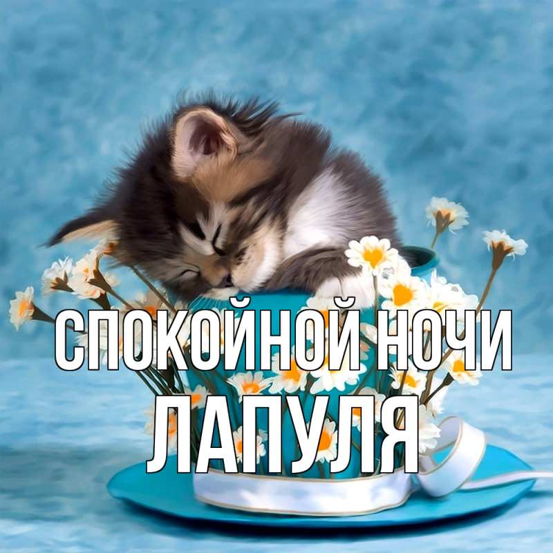 Картинка Спокойной ночи, Лапуля