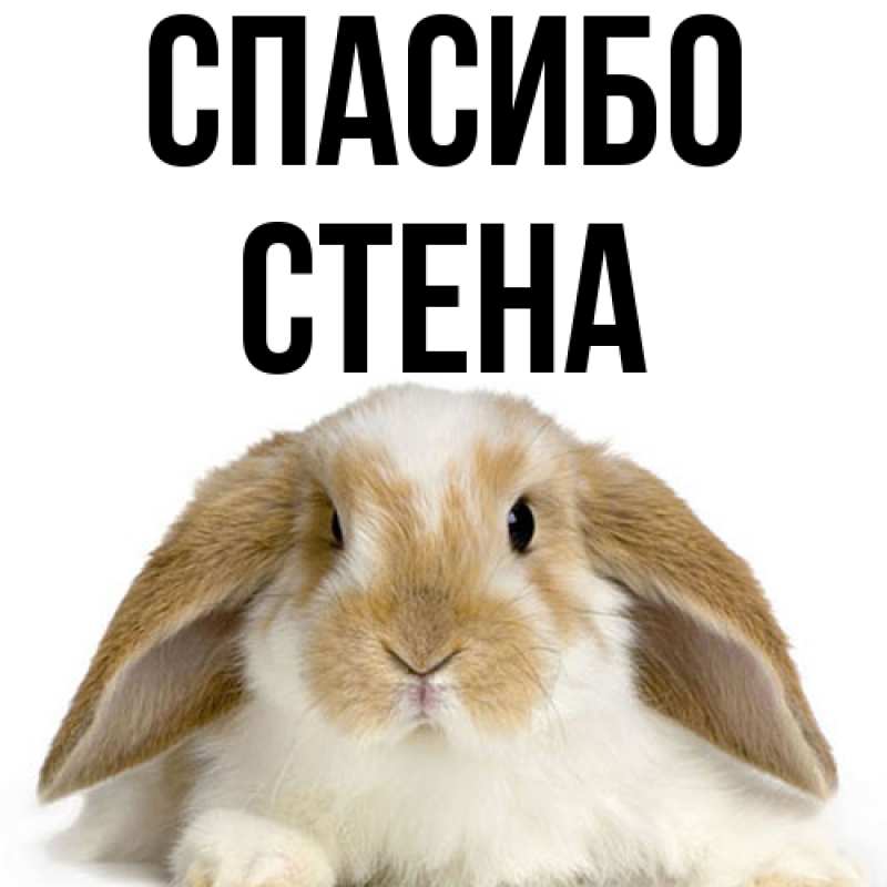 Картинка Спасибо, Стена