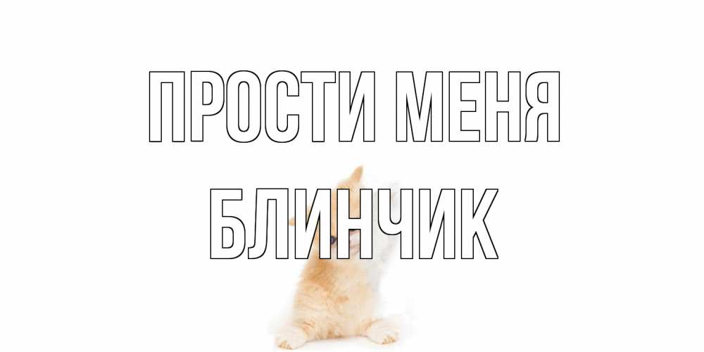 Открытка на каждый день с именем, Блинчик Прости меня кот Прикольная открытка с пожеланием онлайн скачать бесплатно 