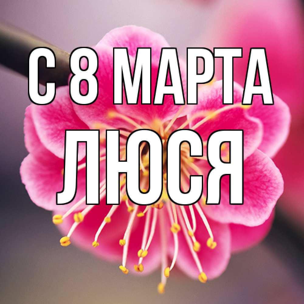 Открытка на каждый день с именем, Люся C 8 МАРТА цветы Прикольная открытка с пожеланием онлайн скачать бесплатно 