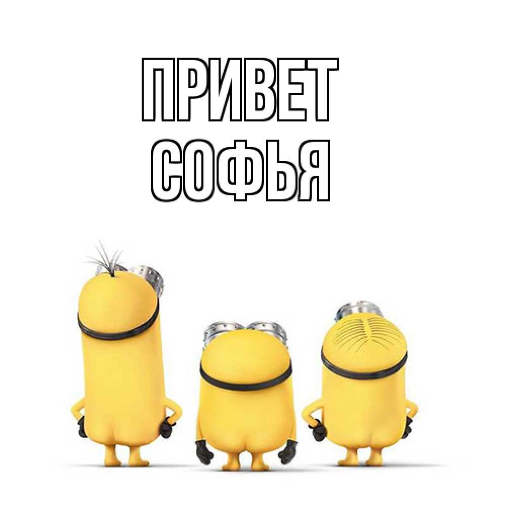 Открытка на каждый день с именем, Софья Привет приветики Прикольная открытка с пожеланием онлайн скачать бесплатно 