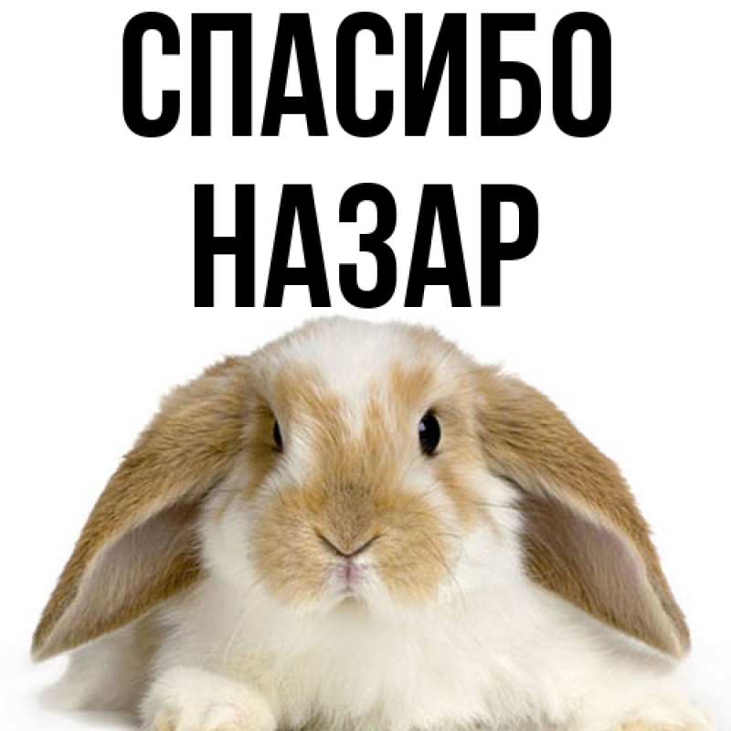 Картинка Спасибо, Назар