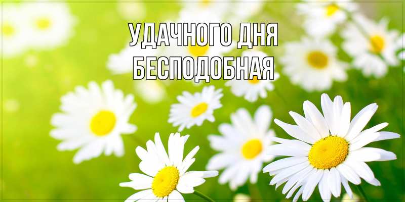 Картинка Удачного дня, бесподобная