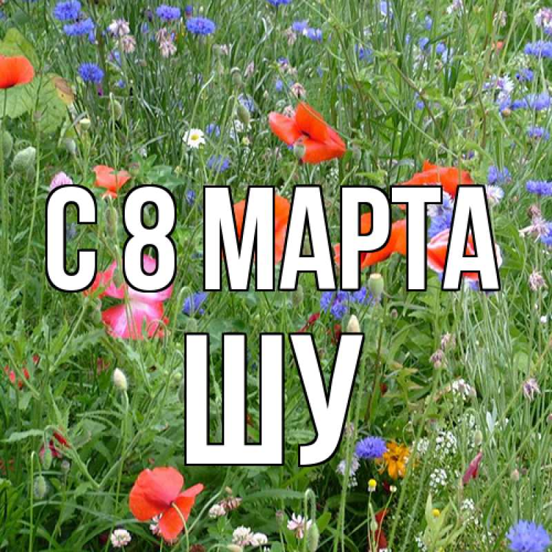 Картинка C 8 МАРТА, Шу