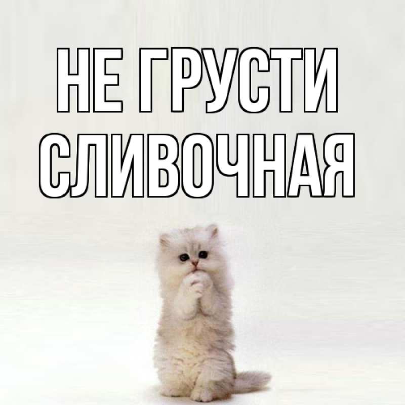 Картинка Не грусти, Сливочная