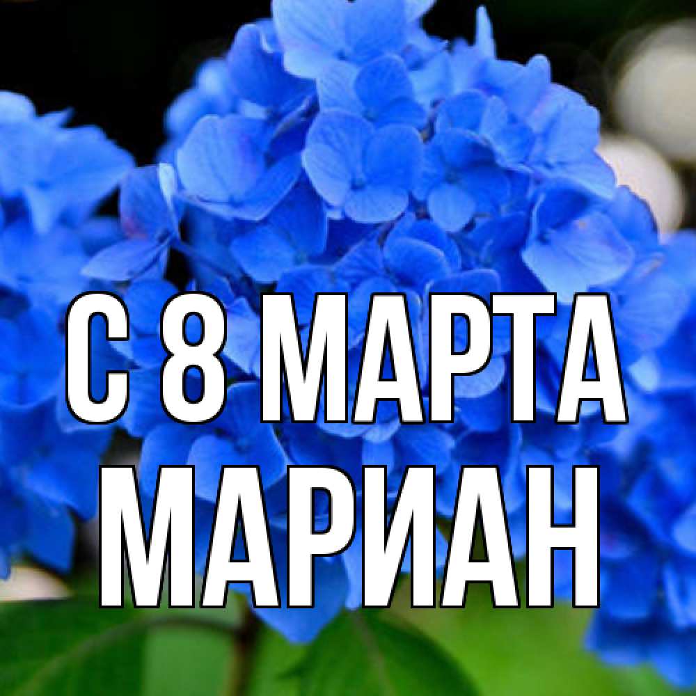 Открытка на каждый день с именем, Мариан C 8 МАРТА синие цветы Прикольная открытка с пожеланием онлайн скачать бесплатно 