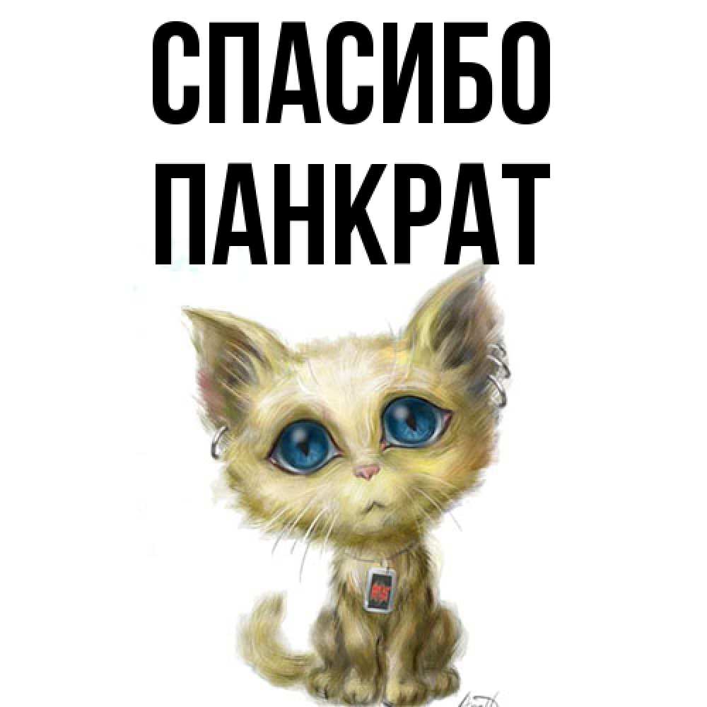 Открытка на каждый день с именем, Панкрат Спасибо рисованный кот благодарит вас Прикольная открытка с пожеланием онлайн скачать бесплатно 