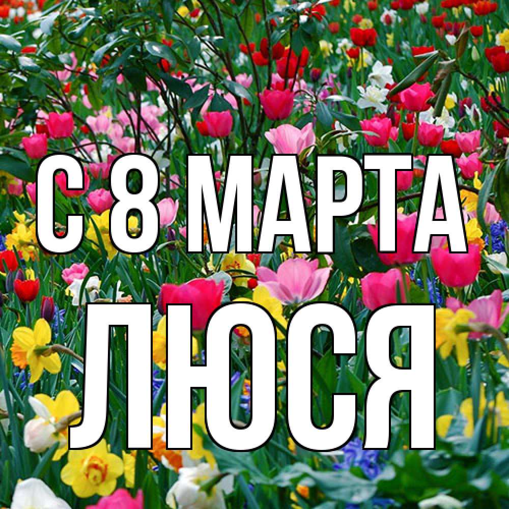 Открытка на каждый день с именем, Люся C 8 МАРТА с международным женским днем поздравления для женщины Прикольная открытка с пожеланием онлайн скачать бесплатно 