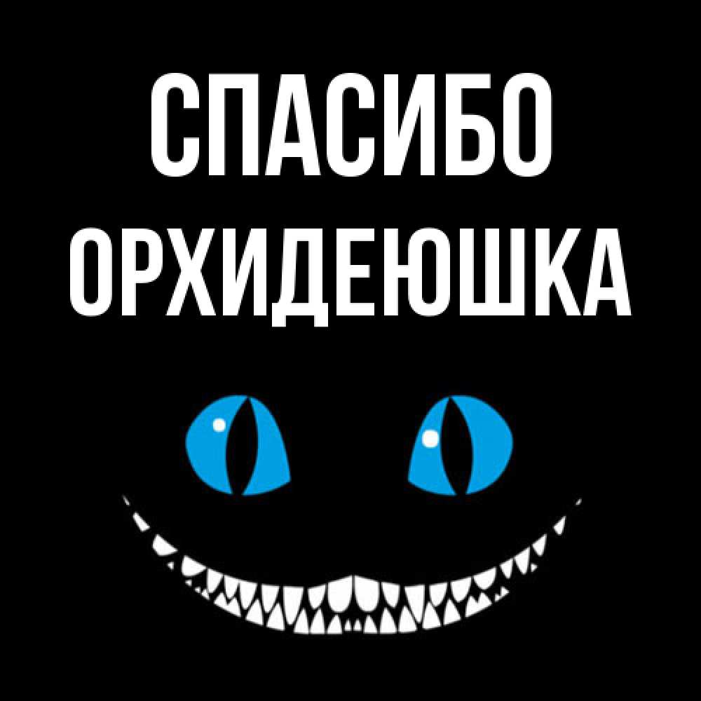 Открытка на каждый день с именем, Орхидеюшка Спасибо благодарю от чеширика Прикольная открытка с пожеланием онлайн скачать бесплатно 