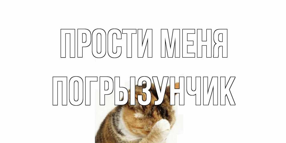 Открытка на каждый день с именем, Погрызунчик Прости меня кот Прикольная открытка с пожеланием онлайн скачать бесплатно 