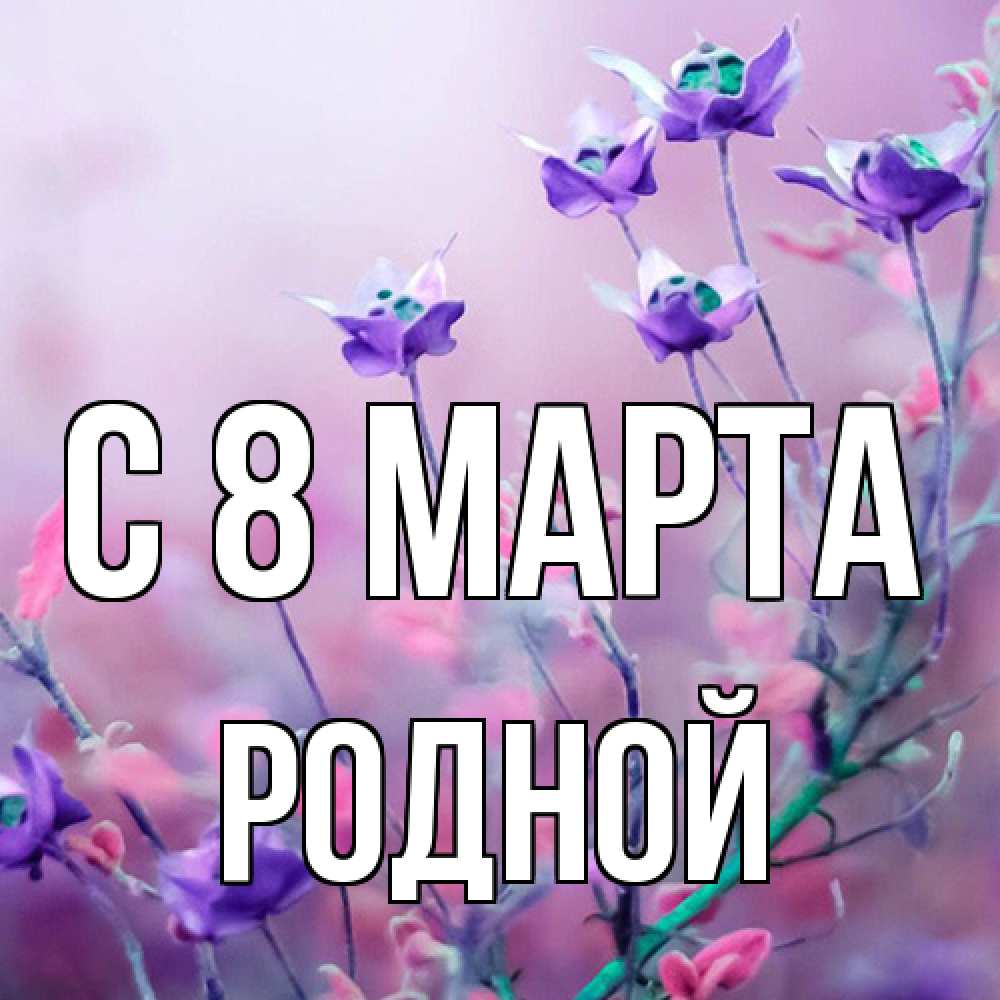 Открытка на каждый день с именем, Родной C 8 МАРТА международный женский день 2 Прикольная открытка с пожеланием онлайн скачать бесплатно 