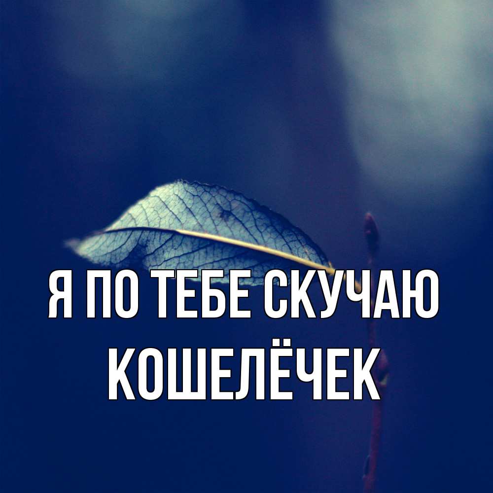 Открытка на каждый день с именем, кошелёчек Я по тебе скучаю одна ветка 1 Прикольная открытка с пожеланием онлайн скачать бесплатно 