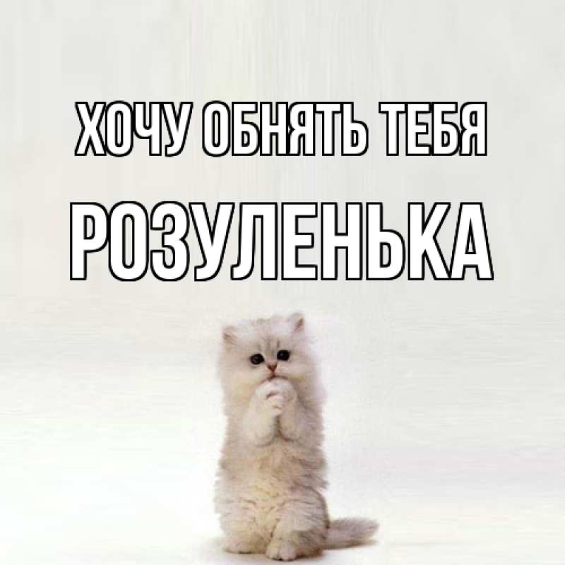 Картинка Хочу обнять тебя, Розуленька