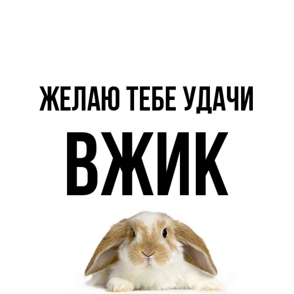 Открытка на каждый день с именем, Вжик Желаю тебе удачи открытки с произвольным текстом который можно вставить в открытку и создать ее самостоятельно бесплатно онлайн Прикольная открытка с пожеланием онлайн скачать бесплатно 
