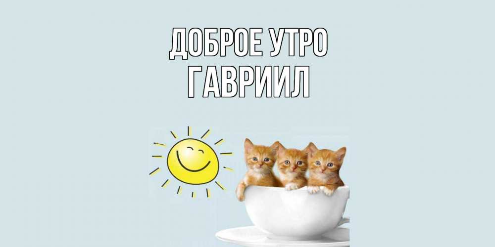 Открытка на каждый день с именем, Гавриил Доброе утро котята Прикольная открытка с пожеланием онлайн скачать бесплатно 