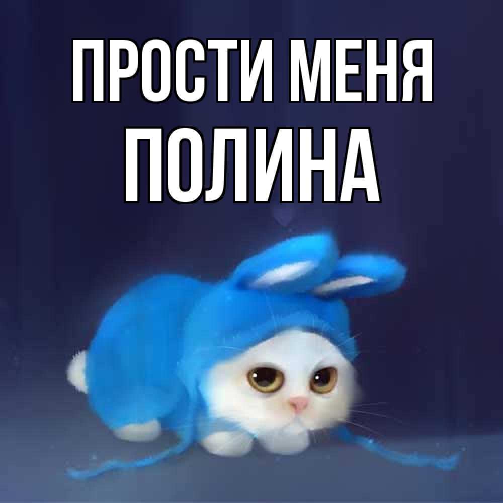 Открытка на каждый день с именем, Полина Прости меня невинный котозай просит прощения Прикольная открытка с пожеланием онлайн скачать бесплатно 