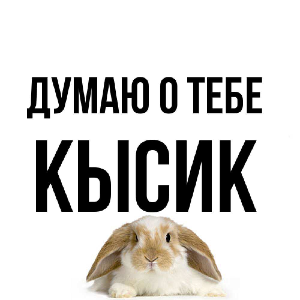Открытка на каждый день с именем, Кысик Думаю о тебе подписать своими руками онлайн Прикольная открытка с пожеланием онлайн скачать бесплатно 