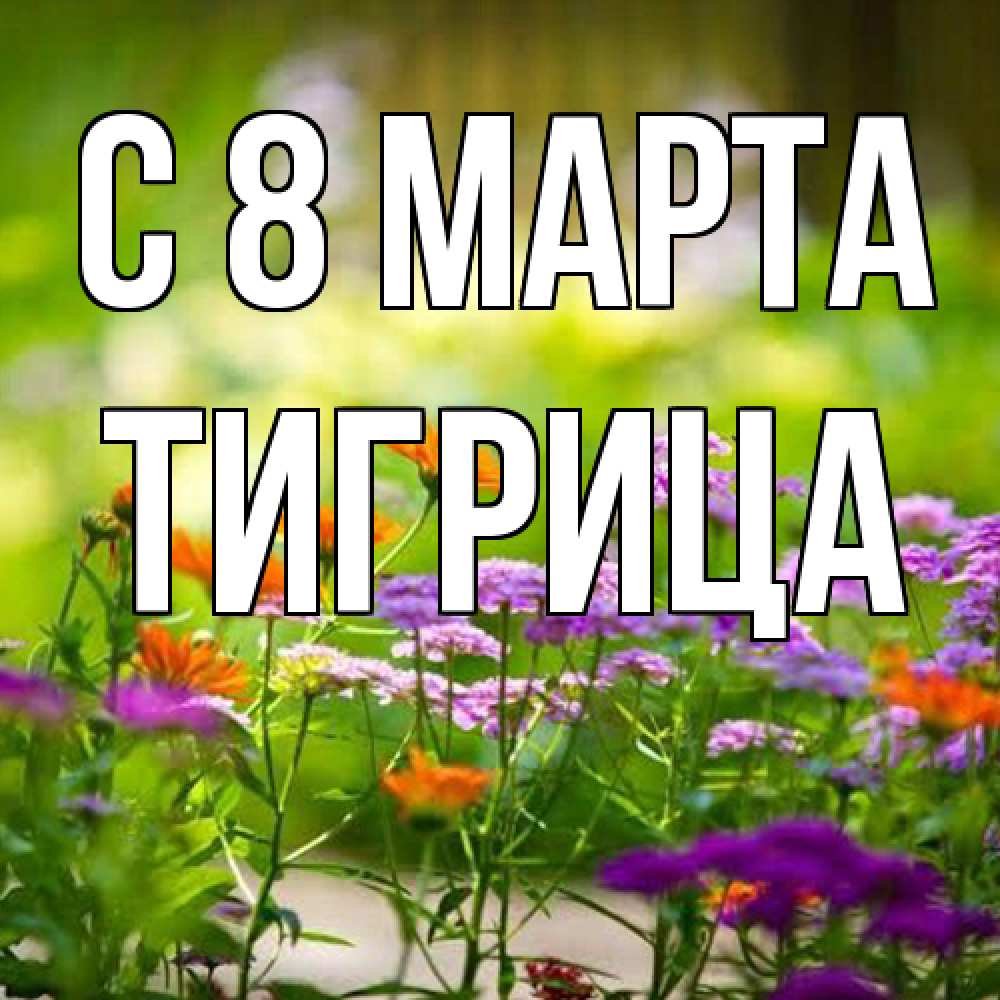 Открытка на каждый день с именем, Тигрица C 8 МАРТА цветы Прикольная открытка с пожеланием онлайн скачать бесплатно 