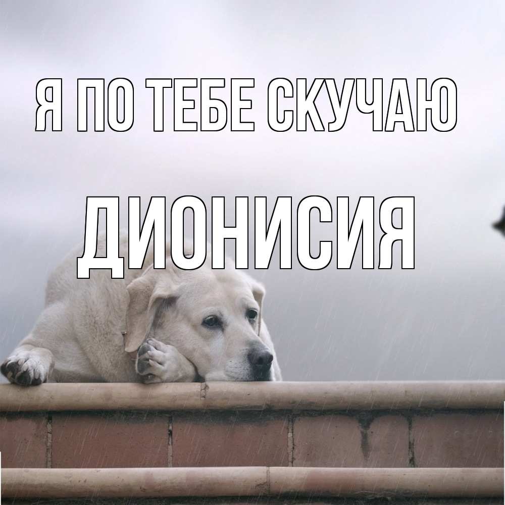 Открытка на каждый день с именем, Дионисия Я по тебе скучаю ждет Прикольная открытка с пожеланием онлайн скачать бесплатно 