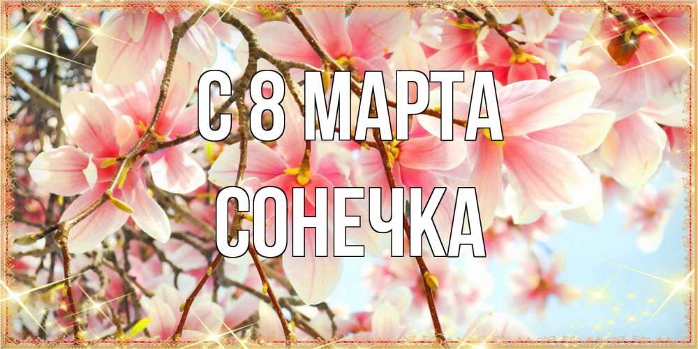 Открытка на каждый день с именем, Сонечка C 8 МАРТА цветы деревьев на 8 марта Прикольная открытка с пожеланием онлайн скачать бесплатно 