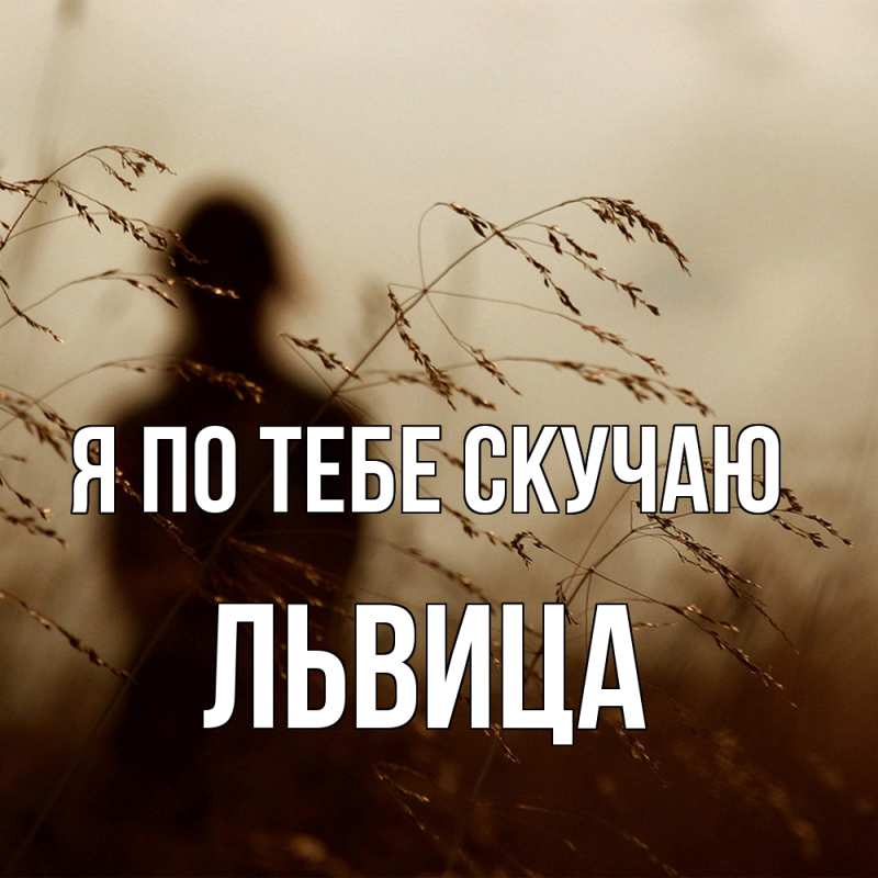 Картинка Я по тебе скучаю, Львица