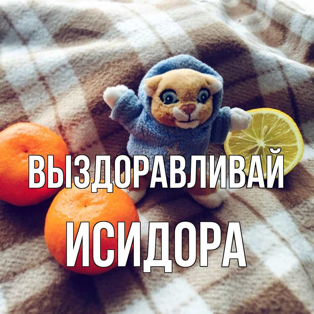 Открытка на каждый день с именем, Исидора Выздоравливай вот тебе апельсинка и лимон Прикольная открытка с пожеланием онлайн скачать бесплатно 