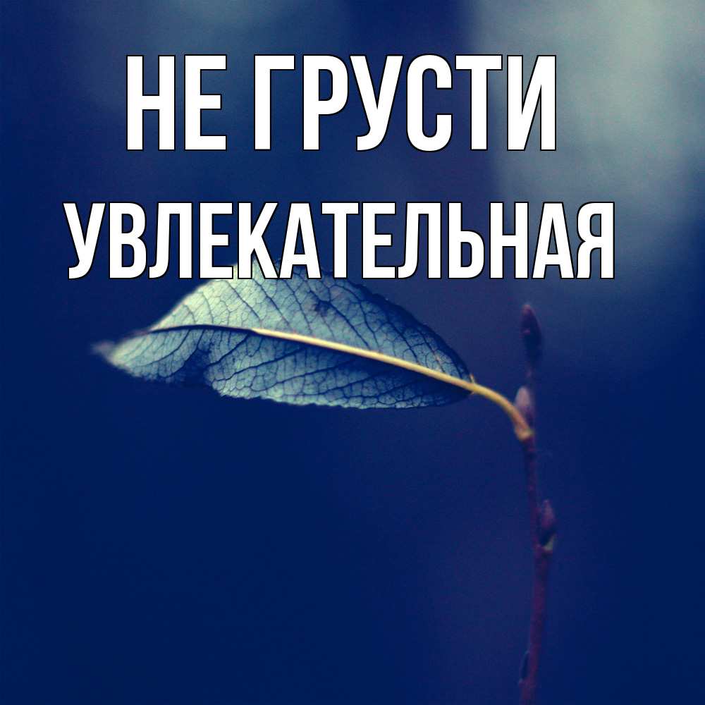 Открытка на каждый день с именем, Увлекательная Не грусти растение Прикольная открытка с пожеланием онлайн скачать бесплатно 