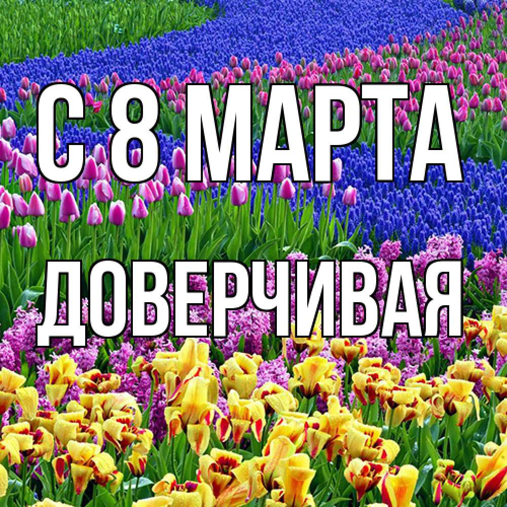 Открытка на каждый день с именем, Доверчивая C 8 МАРТА цветы Прикольная открытка с пожеланием онлайн скачать бесплатно 