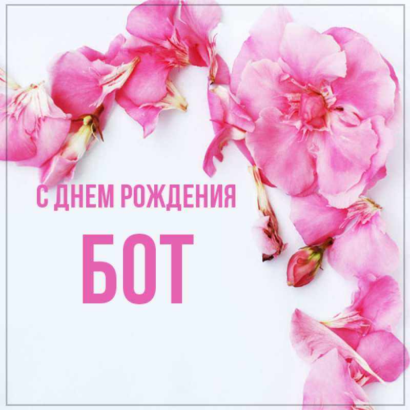 Картинка С днем рождения, Бот