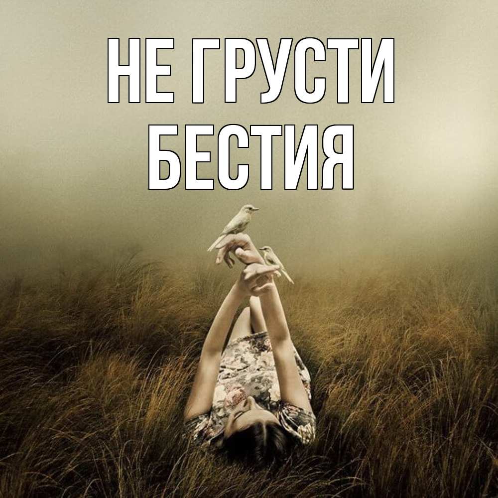 Открытка на каждый день с именем, Бестия Не грусти поле и туман Прикольная открытка с пожеланием онлайн скачать бесплатно 