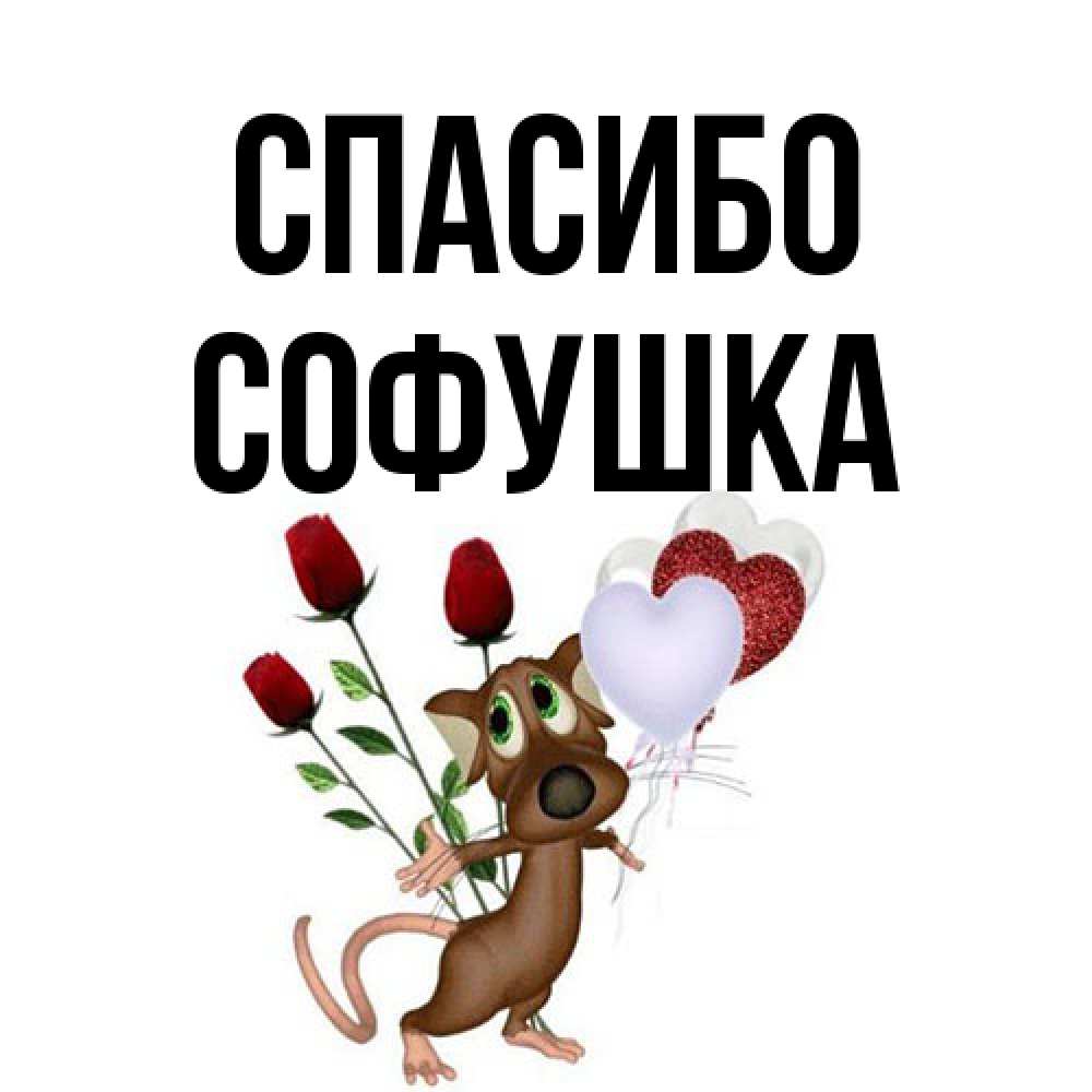 Открытка на каждый день с именем, Софушка Спасибо песик с шариками в форме сердец Прикольная открытка с пожеланием онлайн скачать бесплатно 