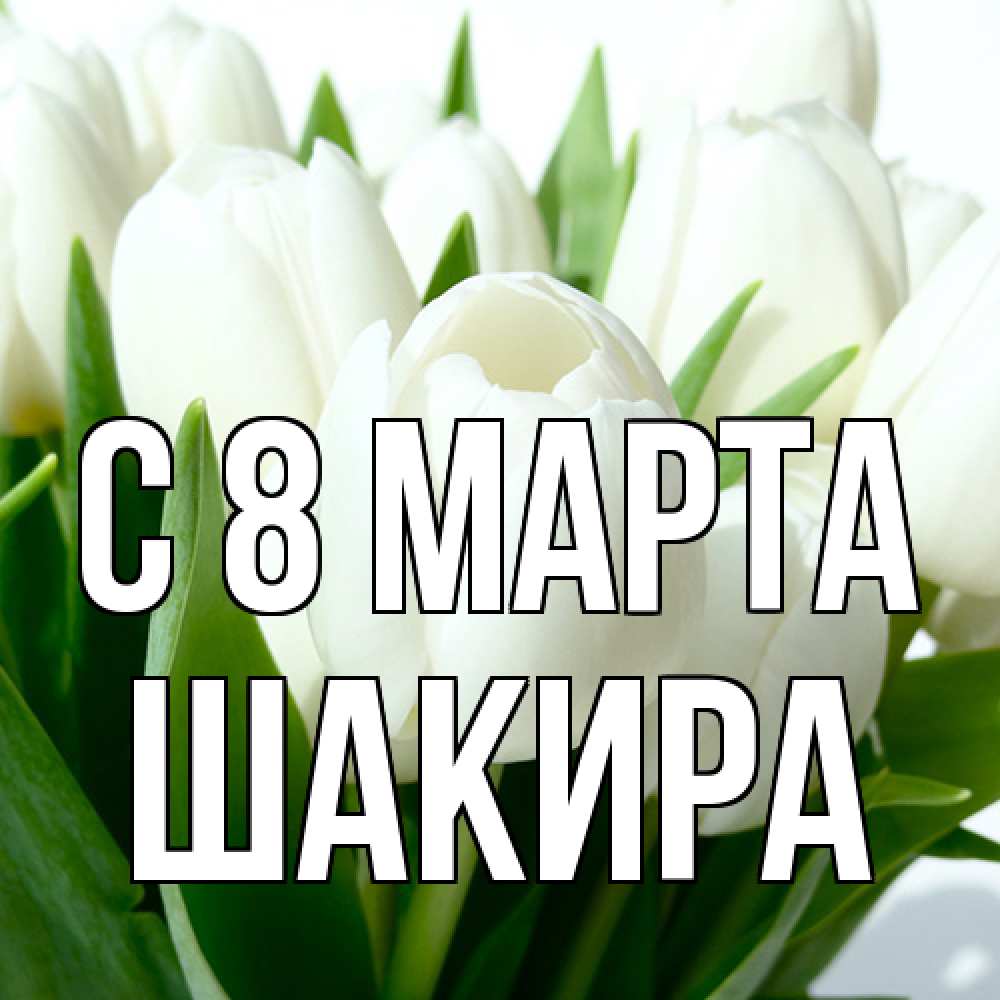 Открытка на каждый день с именем, Шакира C 8 МАРТА цветы Прикольная открытка с пожеланием онлайн скачать бесплатно 