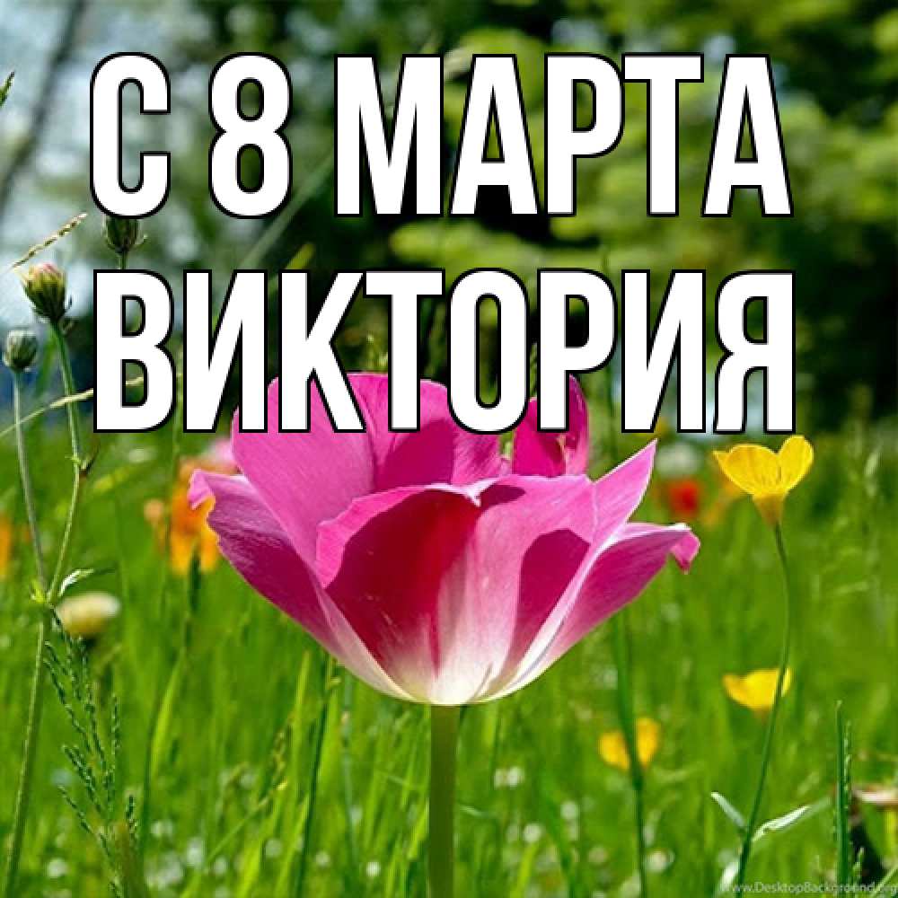 Открытка на каждый день с именем, Виктория C 8 МАРТА полевые цветы Прикольная открытка с пожеланием онлайн скачать бесплатно 